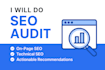 do a professional SEO audit and fix on page issues