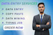 do data entry, copy paste, data scraping, data mining, pdf to excel