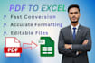 convert PDF to excel and word
