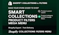 setup smart shopify collections, product filters, product page, product listing