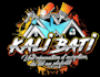 do clean house residential cleaning service logo