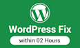 fix wordpress website errors, bugs, and issues