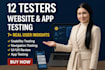 test your website or app and give detailed UX feedback 12 testers
