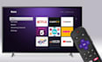 develop a custom roku sdk channel with subscription and monetization features