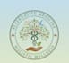 design a unique alternative medicine logo for your brand