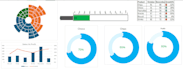 do data entry, data analysis and data visualisation