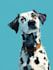 draw a disney pet portrait illustration