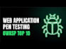 perform web app penetration testing with full report