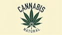 create beautiful cannabis leaf logo design