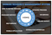 develop custom software, web apps, wpf apps, and ai ml solutions for your