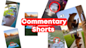 create professional commentary shorts for you
