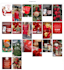 develop social feed plugin for nopcommerce