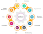 setup odoo erp and also provide professional consultation