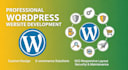 design, redesign, fix errors, and maintain your professional wordpress we