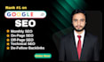 do complete monthly SEO service on page, off page, technical