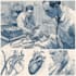 design medical and scientific illustration