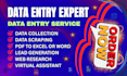 be your professional data entry, web research, virtual asist
