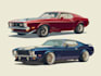 create custom vector illustrations of cars and vehicles