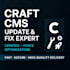 update, fix, optimize and maintain your craft cms website