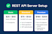 help you setup rest API server