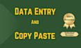 do professional data entry and copy paste work