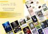 design professional advertisement flyers and pamphlets