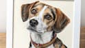 make custom pet portrait or animal art