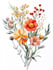 best botanical illustration art