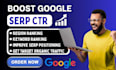 improve website traffic organic keyword google ranking and optimize serp CTR