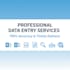 do professional excel data entry, copy paste, and typing