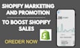 create a expert shopify store, and full shopify set up