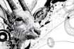 draw black and white illustrations