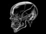 make conceptual dark art skull metal illustration
