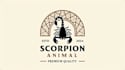 design outstanding scorpion logo for you