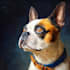 create a custom watercolor pet portrait or pet painting
