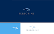 design unique healthcare consulting logo