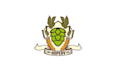 design top quality eye catching craft beer logo