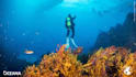 help you with oceanography, oceanography lab guidance and assignments
