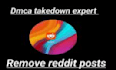 takedown leaked and infringing content from reddit under dmca