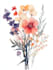 do a botanical illustration