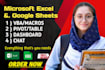 do excel spreadsheet, google sheets, automation, vba, macro, formulas, templates