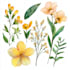 create a botanical watercolor illustration art