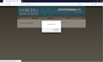 do professional web penetration testing