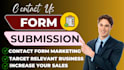 do professional contact us form submission manually