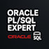 develop, fix or optimize your oracle database and pl sql procedures