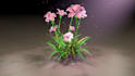 make 3d flower animation, 3d flower model, plant animation, 3d flower design