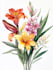 best botanical illustration art