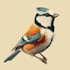 illustrate any bird you want