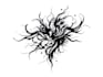 custom an abstract black tattoo design