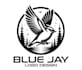 design creative bird logo for your brand